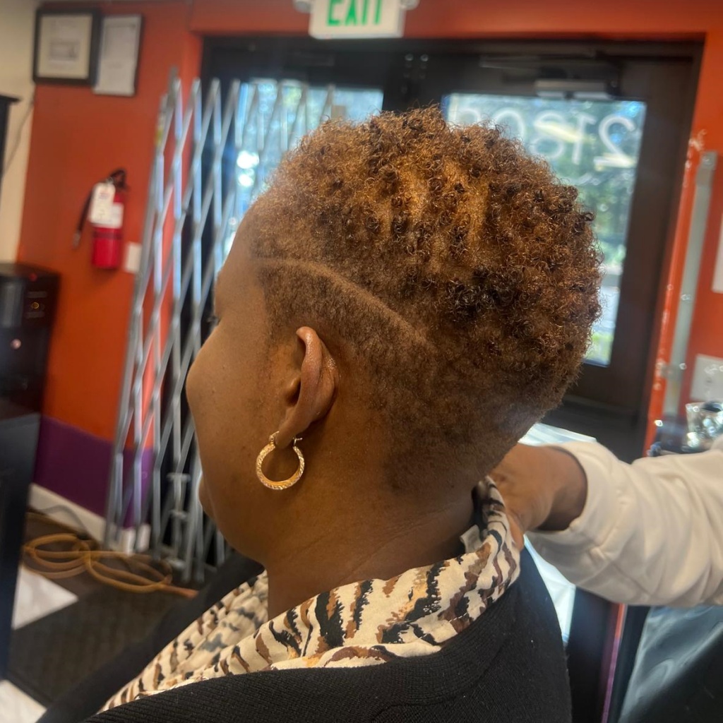 one day barbering sal